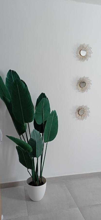 Apartamento Casco Historico Con Atico. Apartment Seville Luaran gambar