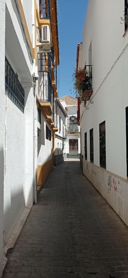 Apartamento Casco Historico Con Atico. Apartment Seville Luaran gambar